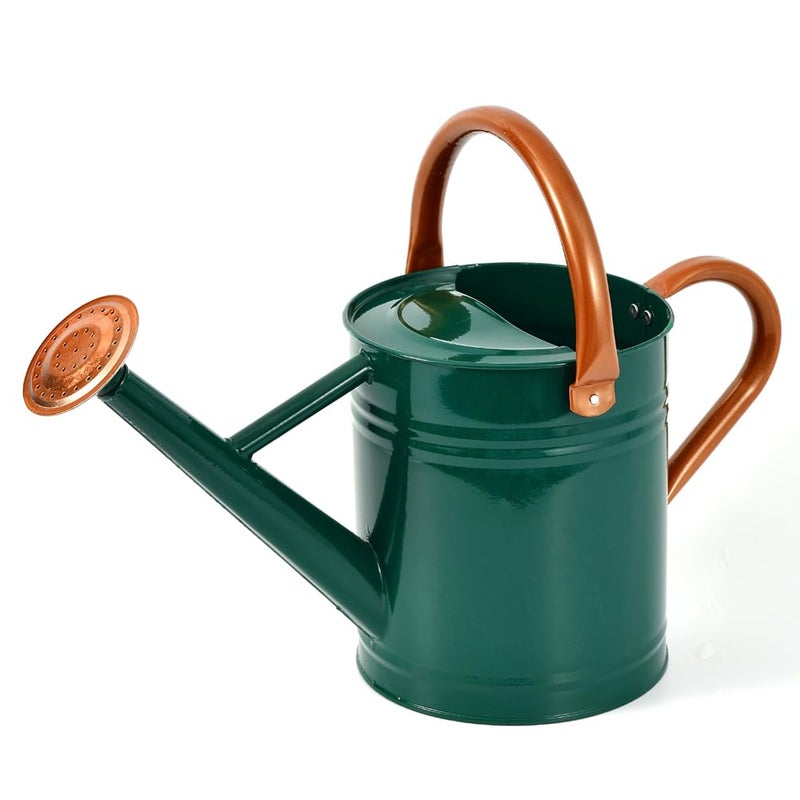 yourjoy Steel Watering Can Sliver Galvanized Steel Watering Can with Copper Accents,Removable Rosette-Diffuser,One-Gallon Green - Image 1